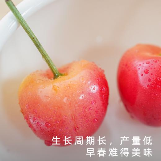 艾格吃饱了 大连蜜甜红樱桃蜜香甜润产地顺丰直发 商品图2