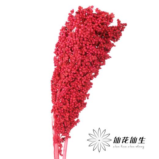 永生花 | 高梁红色 商品图0