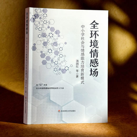全环境情感场：中小学社会与情感能力培育新模式 商品图1