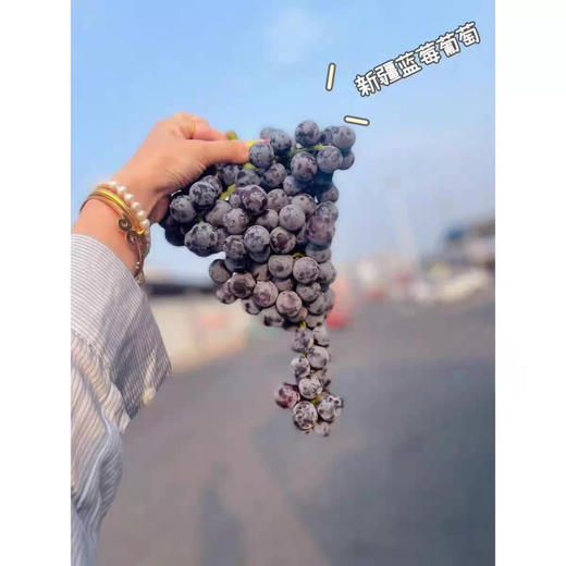 现货 蓝莓葡萄2斤装 商品图3