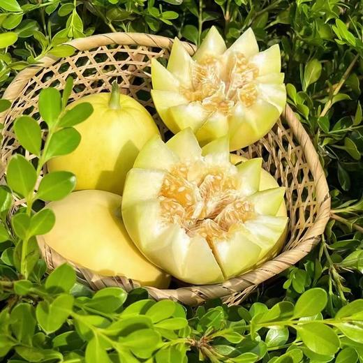 【SGS 380项农残O检出】【“土”甜瓜】浓香多汁，肉脆瓤蜜， 不催熟，不打甜蜜素，不打膨大剂 商品图4