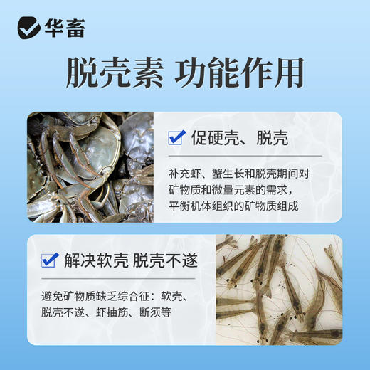 华畜脱壳素500g 可溶性钙脱壳硬壳快 补充钙磷镁等微量元素 商品图4