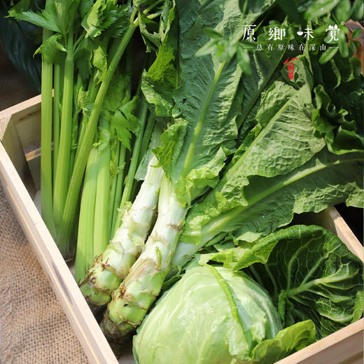 生态蔬菜组合（莴笋/带壳豌豆/带壳蚕豆/生态西芹/生态莲花白）（农场直发-顺丰包邮）|多种规格，来自成都郫都，生产者：原乡生态农场 商品图11