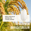 【99元任选10件送5件】【按单限购2件】芝士黄金/黑巧味脏脏小贝32g，叠加店铺满赠，不叠加店铺满减和会员折扣 商品缩略图4