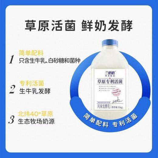 兰格格1kg草原专利活菌酸奶 商品图2