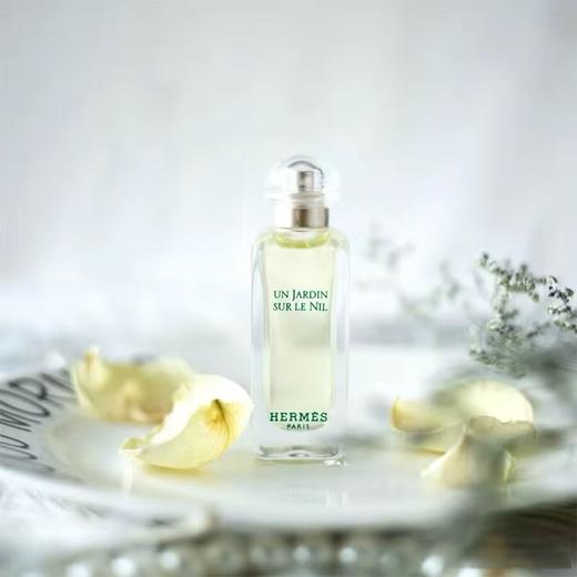 Hermes/爱马仕 尼罗河花园香水小样 7.5ml 商品图1