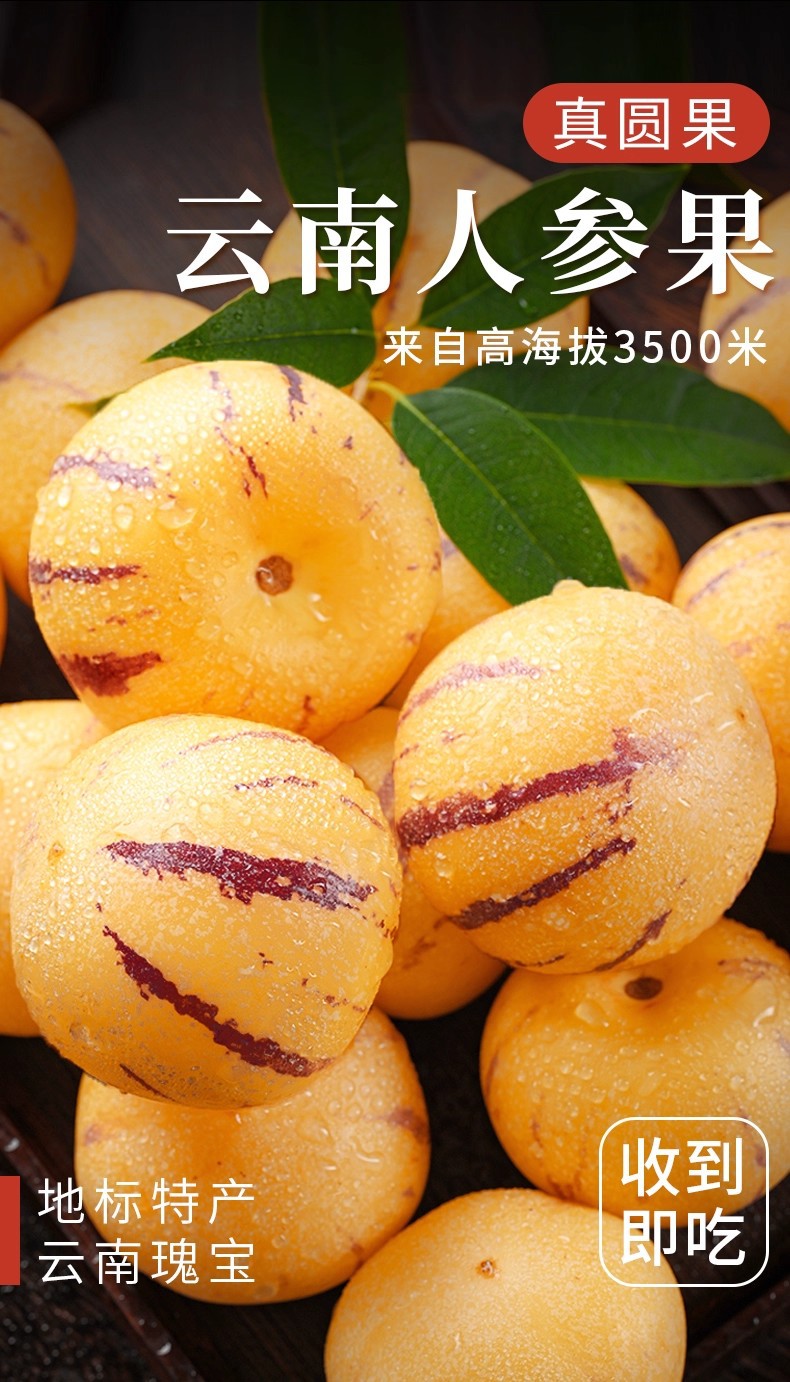 gWyWj/+nzNTvS8WG2Vtagz69b7x9oGwWtlMH