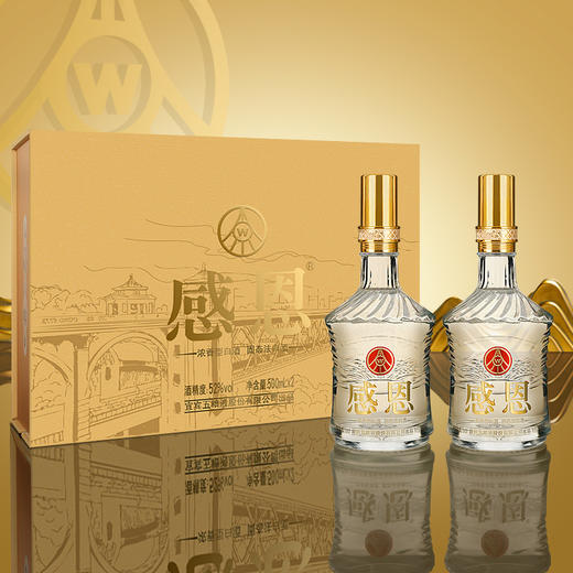 宜宾五粮液*感恩礼盒 52度浓香型白酒 商品图0