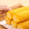 悦意 有机甜糯玉米2kg彩箱装 商品缩略图0