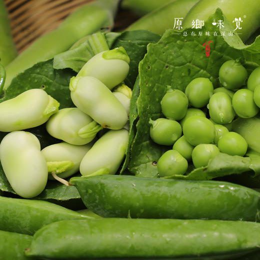 生态蔬菜组合（莴笋/带壳豌豆/带壳蚕豆/生态西芹/生态莲花白）（农场直发-顺丰包邮）|多种规格，来自成都郫都，生产者：原乡生态农场 商品图8