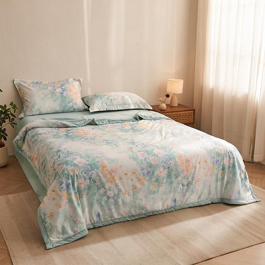 “带夏被！一套搞定整个床品”浪莎 艾草水洗凉感丝空调被4件套-梦江南 商品图2