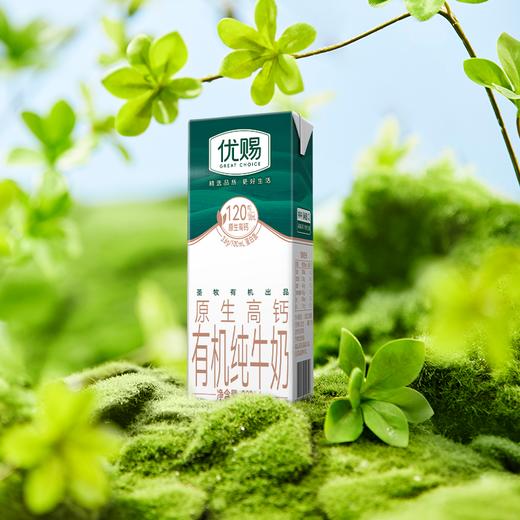 【29.9元秒杀 到手16盒】【12月-1月清仓】圣牧有机3.6g蛋白120mg原生高钙纯牛奶早餐200ml*16盒FF 商品图1