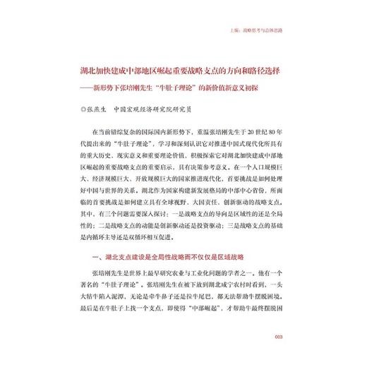 挺起中部脊梁：支点建设名家谈 商品图2