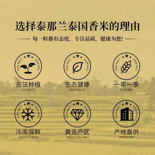 泰那兰 典雅泰国香米5kg 商品图1