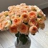多头玫瑰 | 漂亮苏琪 商品缩略图0