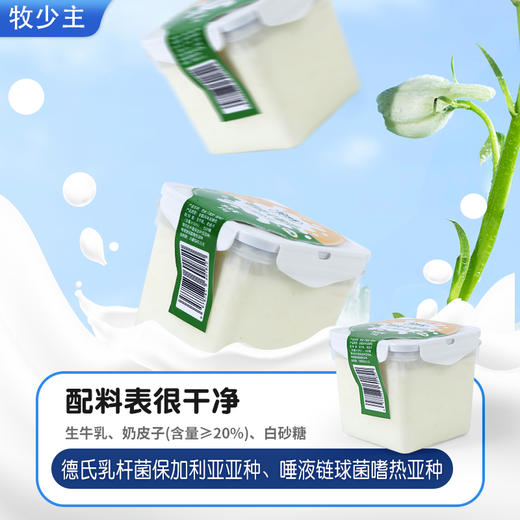 ✅源于内蒙黄金奶源带🏅plus版生牛乳 + 进口活菌慢发酵【牧少主六层鲜奶皮子酸奶】🥛金黄酥脆，奶香浓郁，滑腻与醇厚交织，内蒙古直发飞✈️ 商品图3