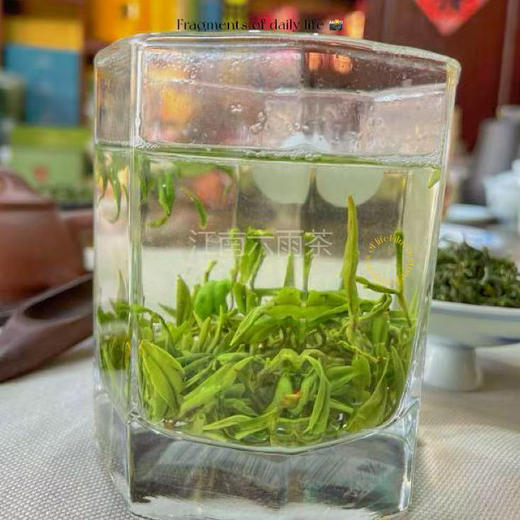 【六雨严选】2026年新茶碧螺春上市！宜兴碧螺春工艺超级福利！抢到尝鲜！！ 商品图4