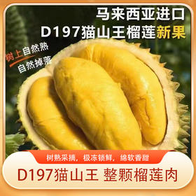 D197猫山王榴莲肉 整颗榴莲肉  树熟采摘，极冻锁鲜，绵软香甜