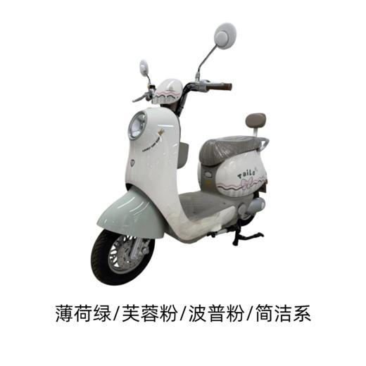 美点-台铃-繁花新新材料版 商品图2