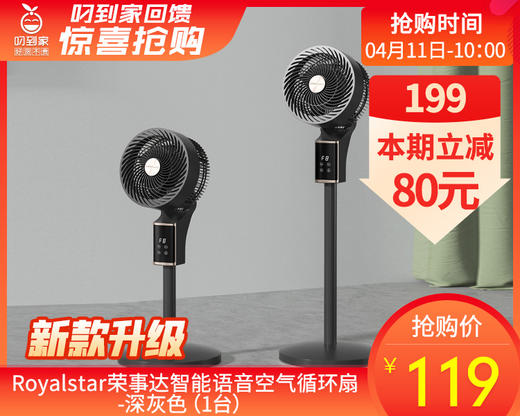 【预售-4月20日配送】Royalstar荣事达智能语音空气循环扇-深灰色（1台） 商品图0