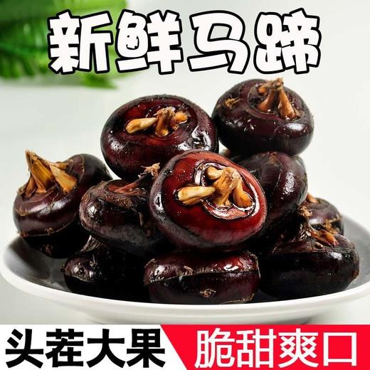 【脆甜爆汁❗️牛奶水果马蹄】源头产地直供，果肉洁白脆嫩，自带清甜奶香，清甜爽口不涩口，带泥大个挖马蹄荸荠脆甜当季水果蔬菜马蹄L 商品图0