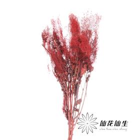 永生花材 | 雾中情人红色