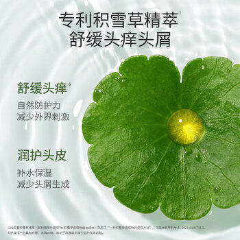 袋鼠妈妈洗发水去屑止痒控油持久留香女洗发露积雪草舒缓洗发水护发300g 商品图1