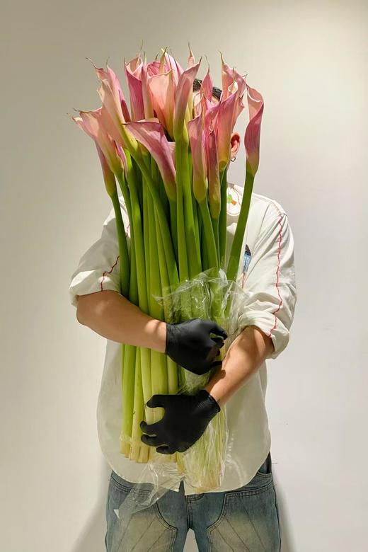 【四月宜养花】火烈鸟马蹄莲5支+香槟色洋桔梗7-10朵+紫色系洋桔梗或粉色系7-10朵+送小绣球1支/份（绣球容易脱水送的不售后） 商品图1