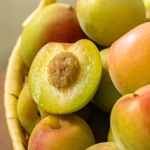 诏安老树胭脂红梅|来自中国青梅之乡，肉嫩汁多，酿酒风味足 商品图1