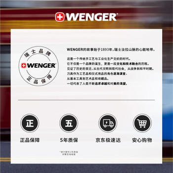 威戈15.6英寸电脑包通勤双肩包背包书包旅行包男女黑色 商品图6