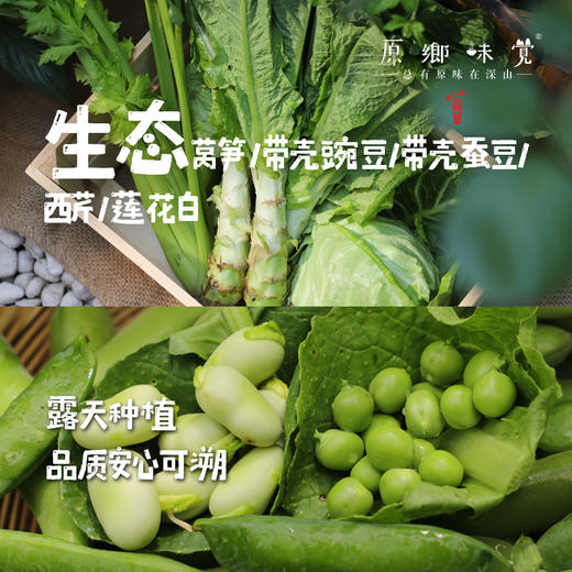 生态蔬菜组合（莴笋/带壳豌豆/带壳蚕豆/生态西芹/生态莲花白）（农场直发-顺丰包邮）|多种规格，来自成都郫都，生产者：原乡生态农场 商品图0