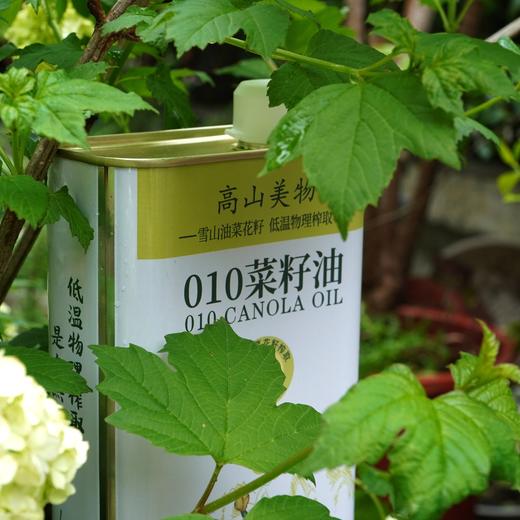 010菜籽油 雪山灌溉 非转基因高原菜籽 物理压榨 0 添加  【一级精炼 清澈透亮】 清香少烟 纯正好油 商品图8