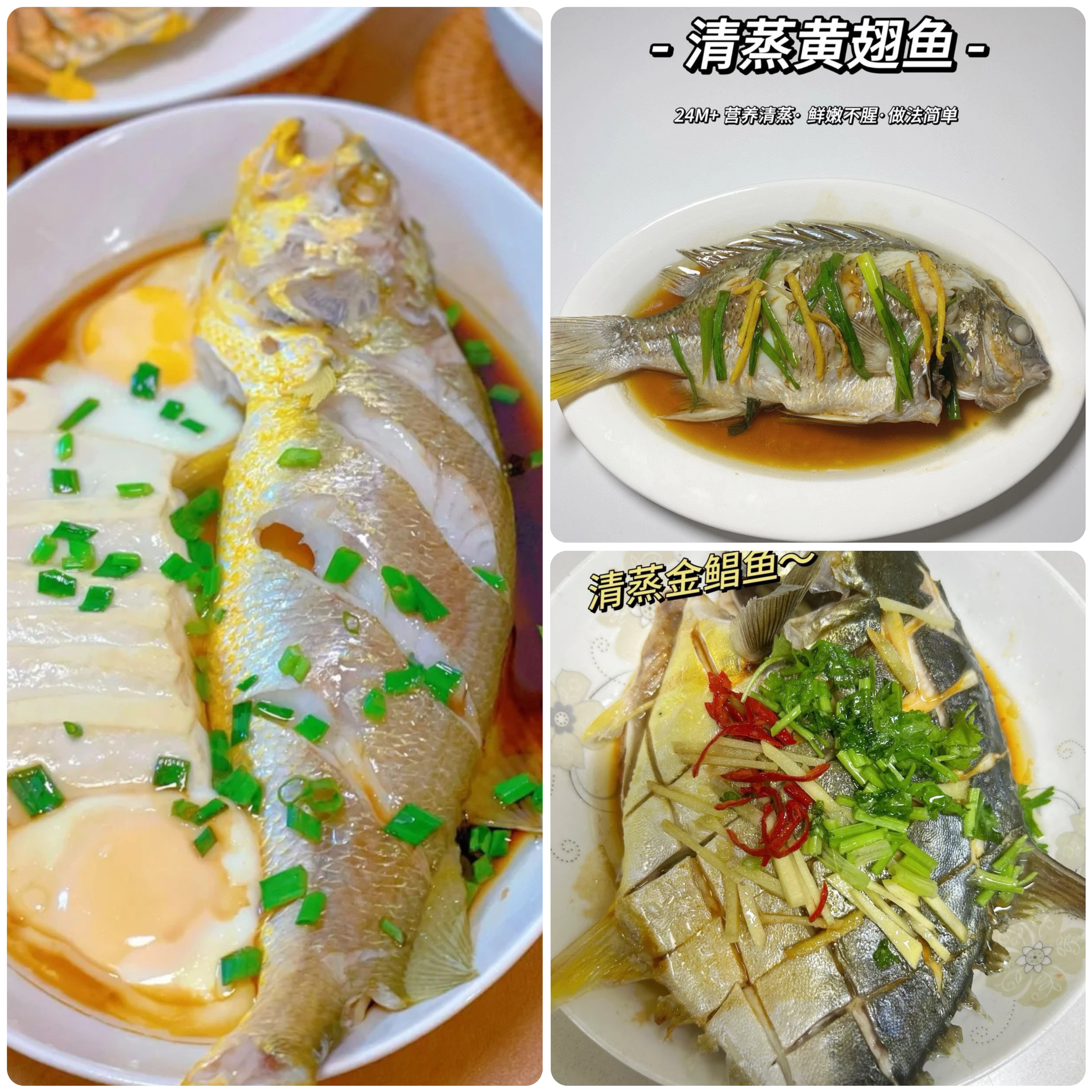 xm❥【4.16号】重磅ye生海鱼套餐来袭！！！深海黄花鱼+招牌黄翅鱼+海钓金鲳鱼 活冻