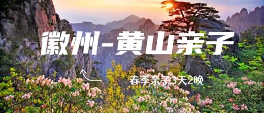 五一徽州黄山3日亲子游，瞻淇鱼灯手作巡游，走进课本里的黄山奇石，赴一场春日的徽州之约 商品图0