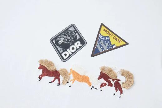 DIO家早春马年限定款logo刺绣短袖T恤 商品图3