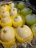 广西龙州香瓜（珍珠瓜）口感脆嫩清甜，汁水足，甜度好 商品缩略图1