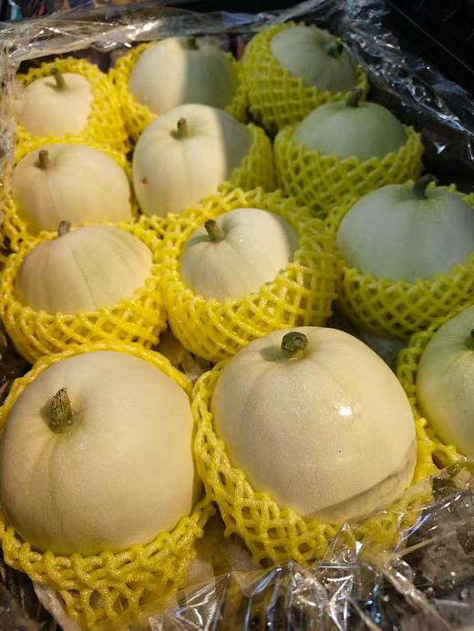 广西龙州香瓜（珍珠瓜）口感脆嫩清甜，汁水足，甜度好 商品图1