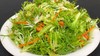 【MLT】苦菊 商品缩略图1
