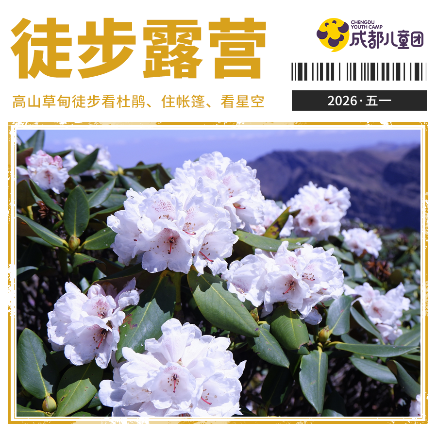 2026年五一·3天2夜丨「耿达熊猫坪」高山草甸徒步看杜鹃、住帐篷、看星空