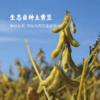 【上新】香畴 二次发酵酱油  自然农法种植黄豆 古法酿造   自然发酵365天  二级酱油1.9L   酱香柔和  本味鲜香 商品缩略图6