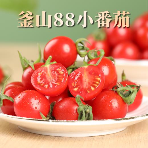 釜山88小番茄【顺丰/京东快递】 商品图0