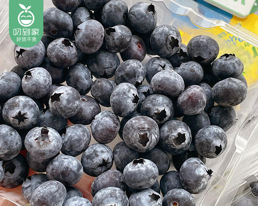 云南怡颗莓小蓝莓（12+）/1箱（125g*12盒） 商品图3