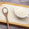 【MLT】江米 商品缩略图2