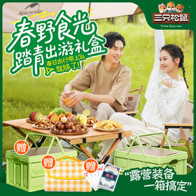 三只松鼠 春游踏青零食礼包户外野餐/17袋约1557g 赠露营箱+野餐垫