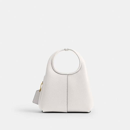 【爆】1楼COACH蔻驰女士LANA 19号单肩包手提包 吊牌价2450现价2269 商品图2