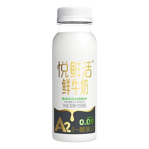 君乐宝260mlA2悦鲜活鲜牛奶 商品图0