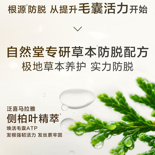 自然堂强韧防脱洗发乳600g洗发水-纪念日百货门店同款171397701 商品图1