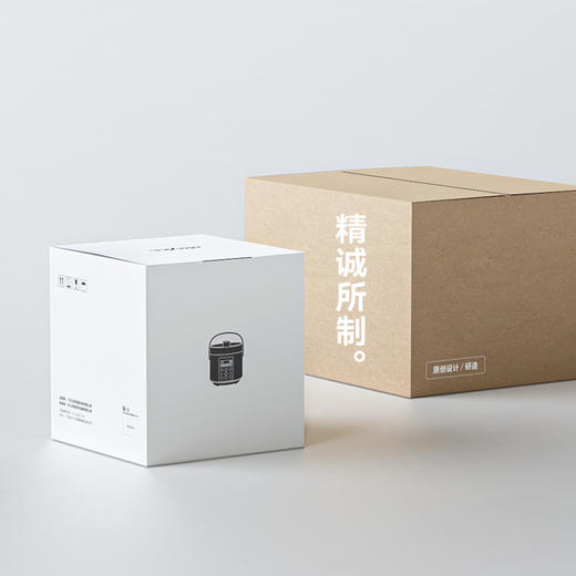 olayks出口日本原款电压力锅家用小型迷你智能2L高压锅饭煲1-2人3 商品图3
