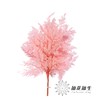 永生花材 ｜ 高山羊齿罗西粉 商品缩略图0