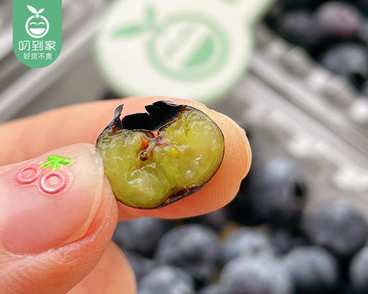 云南怡颗莓小蓝莓（12+）/1箱（125g*12盒） 商品图2